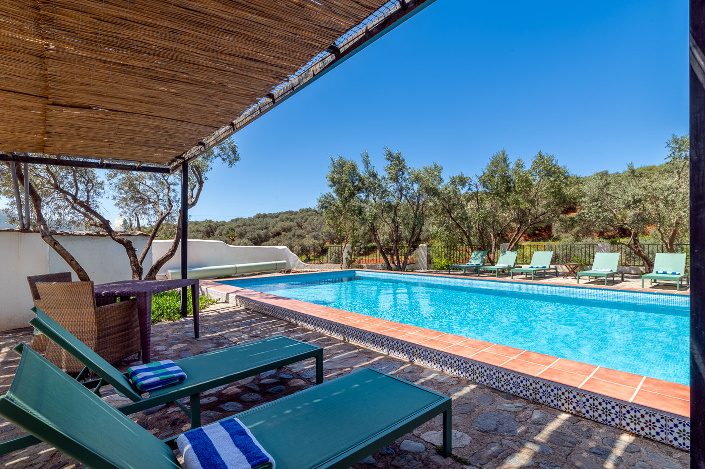 Areas with sun and also with shade